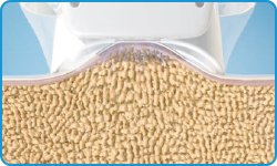 密塑冷凍減脂Micool_悠美診所