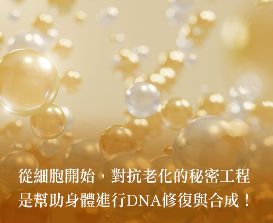 維生素B12