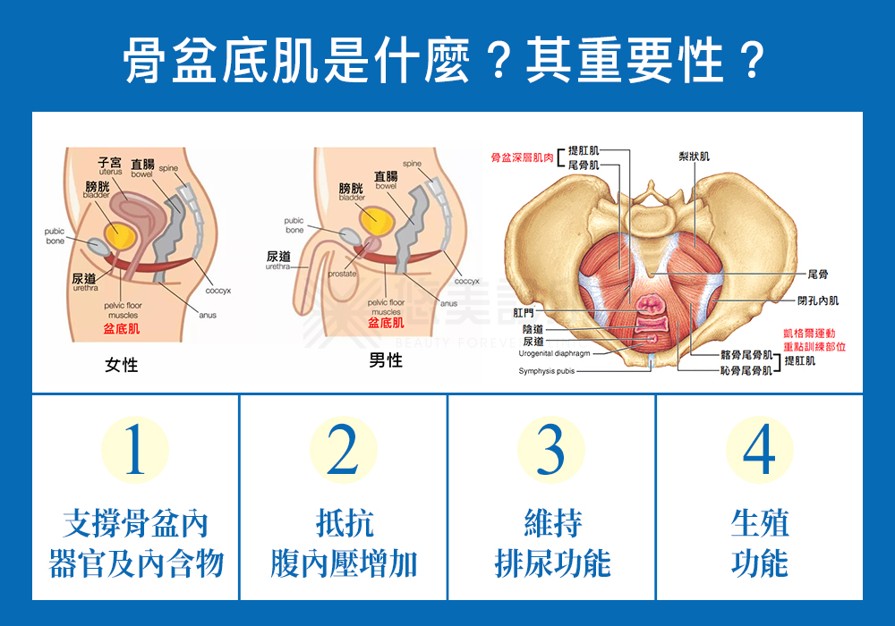 EMSELLA治療椅_悠美診所