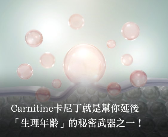 卡尼丁從青春肌膚到活力人生的關鍵養分