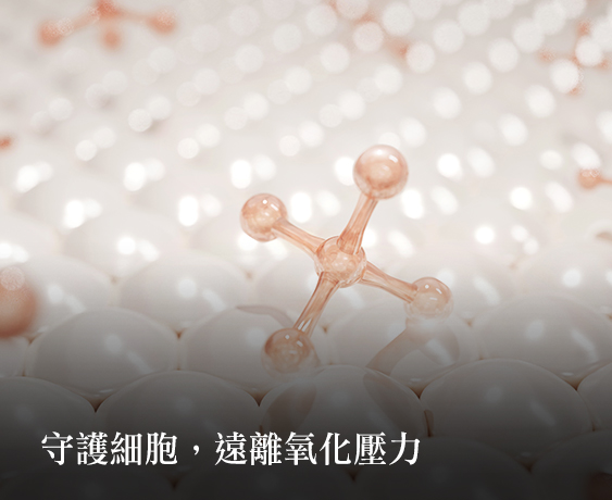貝利多從延緩老化、提升免疫，到透亮膚質的秘密