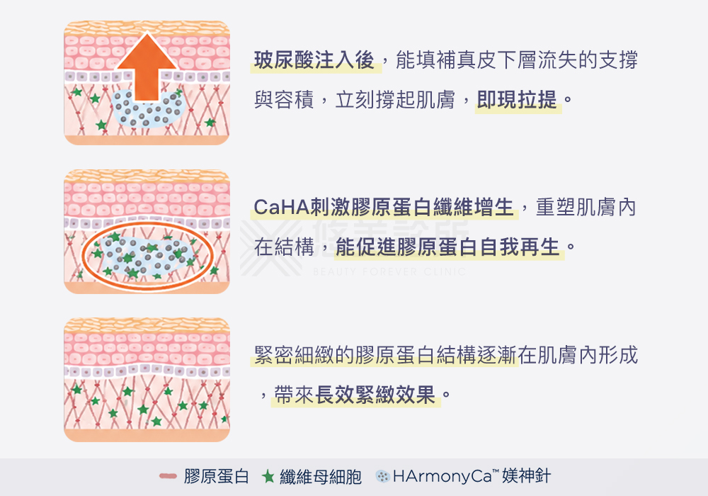 媄神針HArmonyCa悠美診所