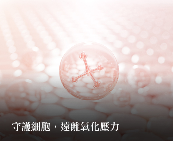 貝利多從延緩老化、提升免疫，到透亮膚質的秘密