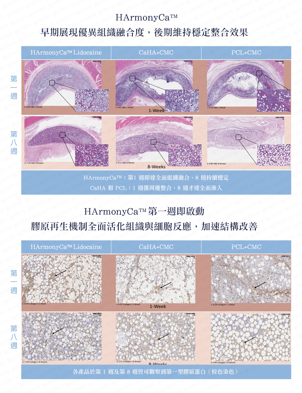 媄神針HArmonyCa悠美診所